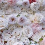 Rosa Rosensimulationsblumenwand-Hintergrundwand, Künstliche Wand-Blumen-Hintergrund-3D-Seiden-Hortensie-Blumenplatte Für Foto-Hintergrund-Home-Party-Hochzeits-Hintergrund-Dekorat