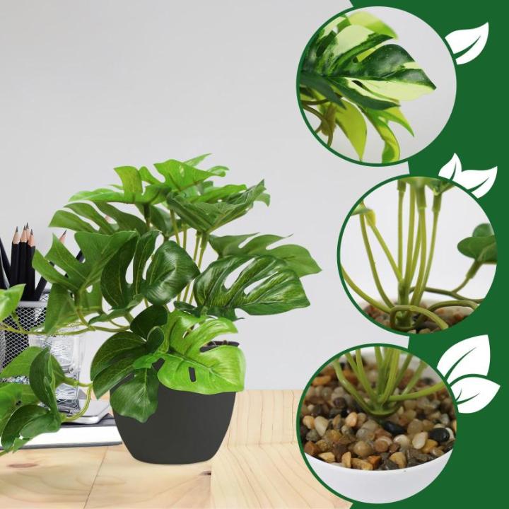 Monstera kunstplant in potten, mini-, voor binnen en buiten, als echt geschikt voor balkon