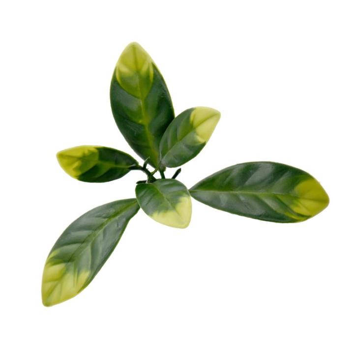Plantenwand, , wandplanten, 50 x 50 cm, decoratie voor muur/balkon/tuin, laurier