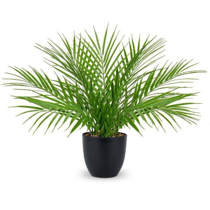 Kunstplant 38 cm nepplanten in potten kunstmatige areca palmplant decoratieve in pot realistische tropische kamerplant binnen voor thuiskantoor slaapkamer badkamer keuken bureau de