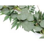 6 Ft Kunstmatige Zilveren Dollar Eucalyptus Bladeren En Wilg Wijnstokken Twijgen Bladeren Garland String Voor Thuis Party Bruiloft Decor Indoor Outdoor