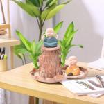Braziliaanse planten indoor gelukshhouten plantset kleine mini-plant, desktopplanten, Braziliaanse houtplant met monniken, Braziliaans hout, plantenstronk, hout, hydrocultuurplant 