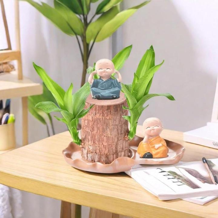 Braziliaanse planten indoor gelukshhouten plantset kleine mini-plant, desktopplanten, Braziliaanse houtplant met monniken, Braziliaans hout, plantenstronk, hout, hydrocultuurplant 