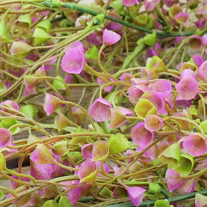 Hangende klimop, kunststof hangende wijnstokken planten nepplanten binnen met hangende mand, kamerscènes decoratief huis keuken tuin kantoor bruiloft wanddecoratie binnen buiten