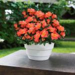 Deko Blumen Künstlich 33 cm Kunstpflanzen Kunstblumen mit Langem Stiel Künstliche Fake Blumen Blumenarrangements für Zuhause Hotel Party 0513