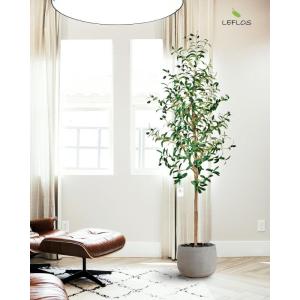 180cm künstliche Olivenbäume, nur für den Innenbereich mit lebendigem Stamm, verstellbarem Zweig und prallen Oliven, deko für Büro, Laden, Wohnung und Party