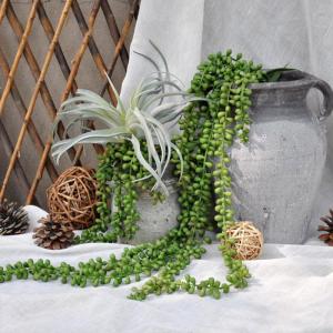 2 stuks , groen, Real Touch, aloë vera, vetplanten, hangende planten, nepparelketting voor muur, tuin, decoratie