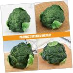 Simulierter Blumenkohl Gemüsemodelle Lebensechter Brokkoli Requisiten Präsentieren Küchendekoration Simulation Gefälschter Brokkolimodelle Künstliche Brokkoli-dekore Green Sch