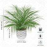 , klein, in pot, 40,6 cm, als echt, kunstkamerplanten voor thuis, kantoor, hotel, bookwinkel, café, moderne decoratie