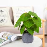 Kunstgroene plant in pot, kunstmatige vetplanten, planten in pot, 32 cm, grote groene kunstmatige plant, groen blad voor thuis, bureau, woonkamer, decoratie