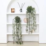 2 stks Nep Hangende Planten Nep Ingemaakte Eucalyptus Groen Planten Kleine Faux Planten Voor Indoor Outdoor Plank Muur Decor