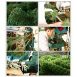 PVC-Verschlüsselung Weihnachtskiefer, Abnehmbarer Premium-Fichten-Künstlicher Weihnachtsbaum Mit Scharnier Einfache Montage Weihnachtsdekorationen Ch Modisch，Green-150cm(59inch