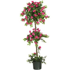 5228 Mini Bougainvillea vormgesneden schoonheid, 1,5 m, 22,9 x 22,9 x 158,8 cm