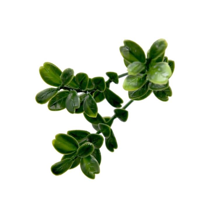 Plantenwand, , wandplanten, 50 x 50 cm, decoratie voor muur/balkon/tuin, boxwood