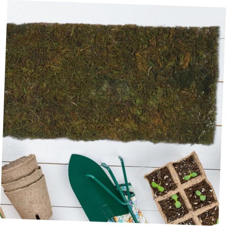 1 Rolle Künstlicher Moosrasen Künstliches Moos Mikroszenen Layout Requisite Moos Mikro Landschaftsdekoration Mikro Landschaftszubehör Künstliches Moos Für Die