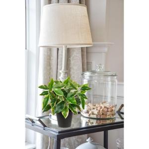 30 cm in pot voor woondecoratie, kleine in potten, decoratie, desktop, bonsai, met potten, tafeldecoratie, huis, balkon, kantoor, decoratie