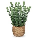 Kunstplant eucalyptus kunstplant lijkt op echte kamerplanten, decoratieve planten in gevlochten zeegras, pot, hoogte 43 cm