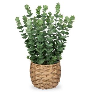 Kunstplant eucalyptus kunstplant lijkt op echte kamerplanten, decoratieve planten in gevlochten zeegras, pot, hoogte 43 cm