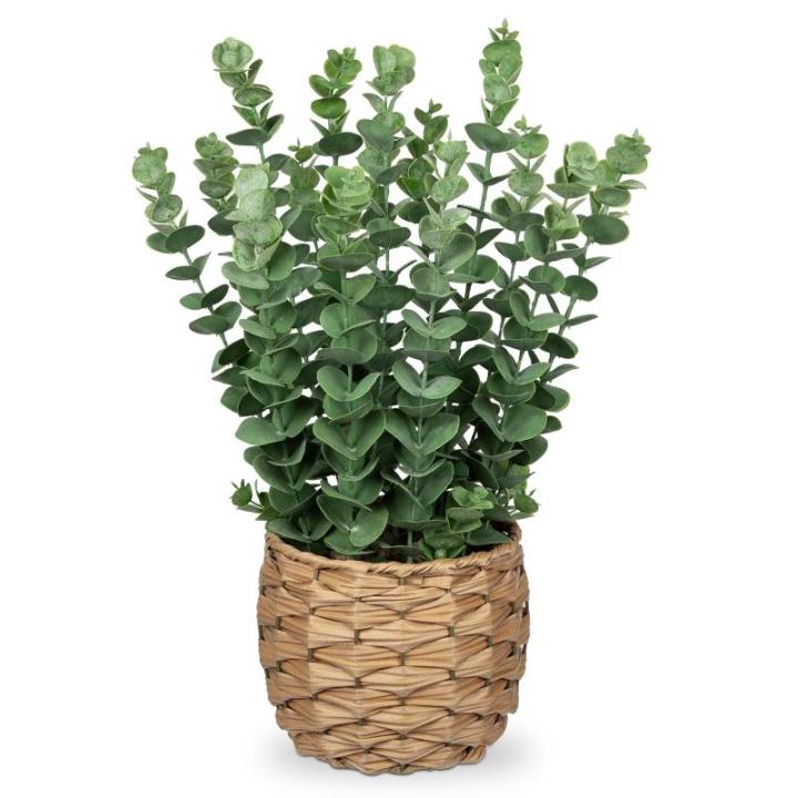 Kunstplant eucalyptus kunstplant lijkt op echte kamerplanten, decoratieve planten in gevlochten zeegras, pot, hoogte 43 cm
