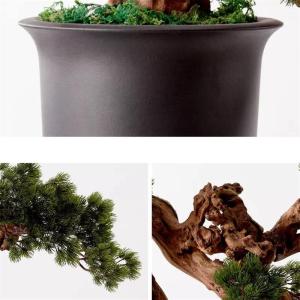 Künstlicher Bonsai-Baum Künstlicher Bonsai-Baum, neue Simulation im chinesischen Stil, Willkommenskiefer, Bonsai-Baum, Inneneinrichtung, Wohnzimmer-Dekoration, Simulation einer T