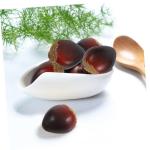 3 Sätze Schaumkastanie Lebensechte Kastanien Künstliche Küchennahrung Gefälschte Kastanien Gefälschte Früchte Prop Kastanienverzierung Falsche Nuss Food-Modell Coffee 30 Stü