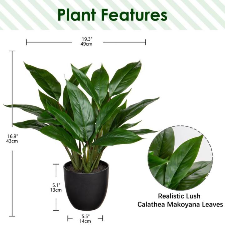 Kunstplant als echte kunstplant, decoratieve plant Calathea, struikachtig met 22 bladeren in kunststof pot, kamerplant, hoogte 43 cm, groen