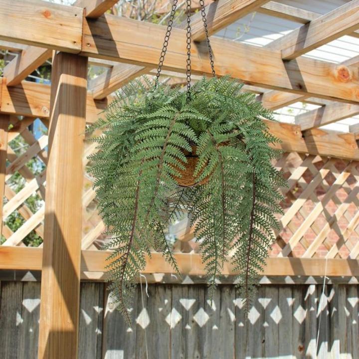 varenplanten, bonston varen, hangplant, kunstvaren, als echt voor muur, keuken, veranda, hangmand, decoratie, met hanghanger