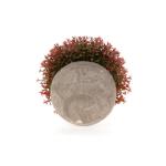 Plastic Nep Planten met Potten Decoratieve Kleurrijke Levensechte Bloem voor Thuis/Kantoor Decor Pak van 6
