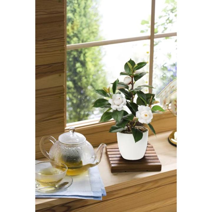 28cm Kunstpflanzen im Topf für Heimdekoration Künstliche Zimmerpflanze Camellia, Blumenarrangements Heim- und Büro Dekoration Desktop Bonsai, Kunstpflanzen mit Töpfen Tischdeko