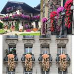 , blauweregen, aan de muur, hangende bloemen, voor bruiloften, thuis, tuin, feest