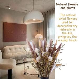 Pampas gedroogde bloemen, decoratie, natuur, 63 stuks, doe-het-zelf, gedroogde bloemen, boeket, ideaal voor boho, woonkamer, slaapkamer, vazen (LZGSGO-0103)