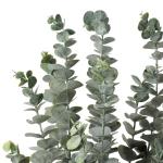 3 stuks kunstmatige eucalyptusplanten, , decoratie, eucalyptus met 5 takken, droogbloemen, decoratie voor woondecoratie, hoogte 87 cm