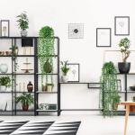 3 stuks kunstmatige hangplanten, eucalyptus, bladeren met potten, 63 cm lang, onderhoudsvrije kunstvetplanten, voor tuin, binnen en buiten (vetplanten)