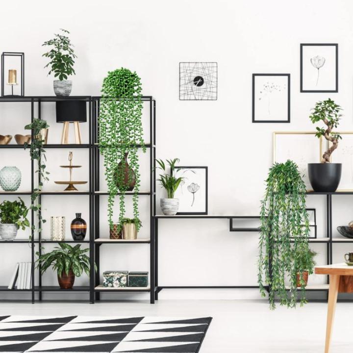 3 stuks kunstmatige hangplanten, eucalyptus, bladeren met potten, 63 cm lang, onderhoudsvrije kunstvetplanten, voor tuin, binnen en buiten (vetplanten)