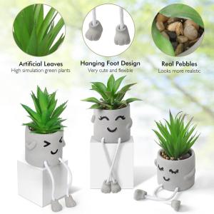 3 stuks kunstmatige vetplanten, echte planten met potten, emotioneel cement, potplant met hangende poten, decoratie, planten voor badkamer, tafeldecoratie, woonkamerdecoratie, vens
