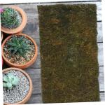 1 rol kunstgras kunstgras badkamer decoraties een armatuur kunstmatige mospad mosmicro landschap decor venster bonsai plant rekwisieten microscene installatie