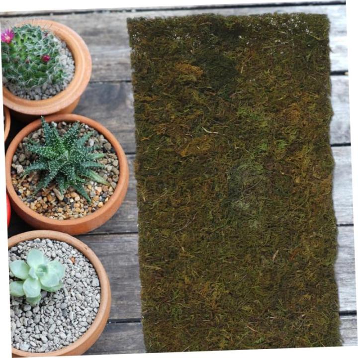 1 rol kunstgras kunstgras badkamer decoraties een armatuur kunstmatige mospad mosmicro landschap decor venster bonsai plant rekwisieten microscene installatie