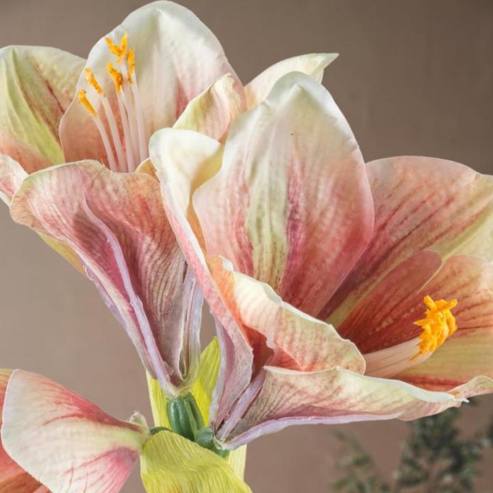 Amaryllis 68 cm roze I amaryllis kunstmatig met natuurgetrouwe bloemen I hoogwaardige en stijlvolle Real Touch kunstamaryllis I kunstbloem amaryllis ideaal als indoor- of kerstdeco