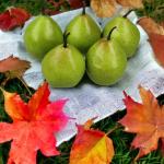 5 stuks kunstdecoratie, groen, 20-40 g/uur, levensecht plastic fruit, plastic fruit, kunstfruit, fruit, decoratie, etalage, huishouden, keuken, feest, hotel, kinderkeuken, speelkeu