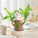 Braziliaanse planten indoor geluksholt plant set kleine mini-plant desktopplanten Braziliaanse houtplant met monniken Braziliaans hout plantenstronk hout hydrocultuurplant