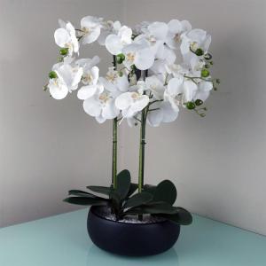 Realistische künstliche Orchideenpflanzen, vollständig getopft