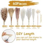 Gedroogde pampasdecoratie, gedroogde bloemen, natuurlijk, 60 stuks, doe-het-zelf, gedroogde bloemen, boeket, ideaal voor boho, woonkamer, bruiloft, slaapkamer en vazen (LZGSGO-0104