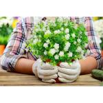 Kunstbloemen voor buiten, uv-bestendig, , bloemen in grote hoeveelheden voor het ophangen van plantenbakken, buiten, veranda, vaas, thuis, raamdecoratie, 6 bundels, wit
