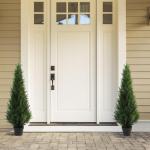 , grote cederboom, 125 cm, als echt in pot, kunststof, buitendecoratie, verpakking van 2 stuks