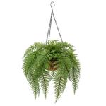 varenplanten, bonston varen, hangplant, kunstvaren, als echt voor muur, keuken, veranda, hangmand, decoratie, met hanghanger