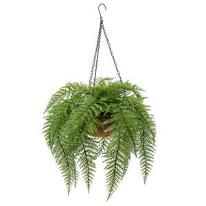varenplanten, bonston varen, hangplant, kunstvaren, als echt voor muur, keuken, veranda, hangmand, decoratie, met hanghanger