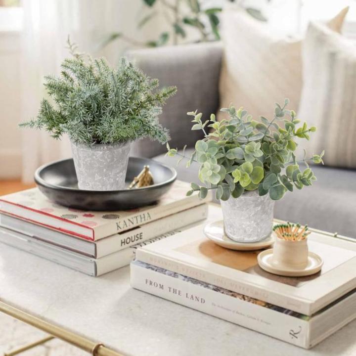 Kunstplant mini kunstplant eucalyptus rozemarijn kruiden in cementpot decoratie badkamer bureau keuken tuin decoratie set van 3