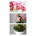 Kunstblumen Künstliche Pflanzen, Orchideen-Blumen-Arrangement für Hotel-Heimdekoration, PU-Kunstpflanzen, 7 Zweige, Phalaenopsis-Blumen für jeden Anlass