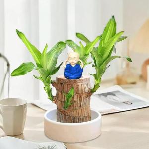 Braziliaanse planten indoor geluksholt plant set kleine mini-plant desktopplanten Braziliaanse houten plant met monnetje Braziliaans hout plantenstronk hout hydrocultuurplant (blau