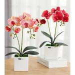 Kunstblumen Künstliches Phalaenopsis-Blumenarrangement, künstliche Orchideen-Bonsai im Topf, Pflanze für Zuhause, Büro, Küche, Schlafzimmer für jeden Anlass